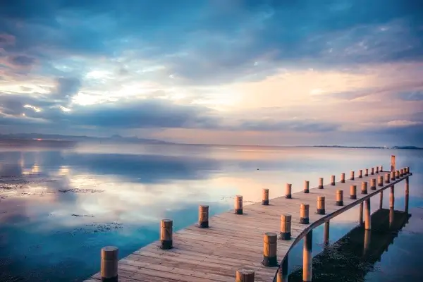 杨东海新疆美食做法