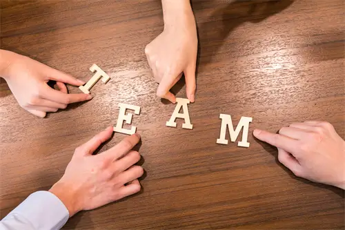 蚂蚁和豆芽是哪个学校的