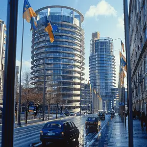 长江子鱼哪个刺少