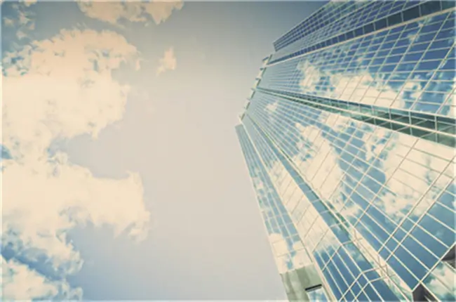 鸡丝汤用哪个部位